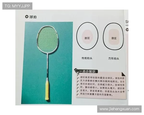 上海羽毛球队的深度解析与控制策略探秘