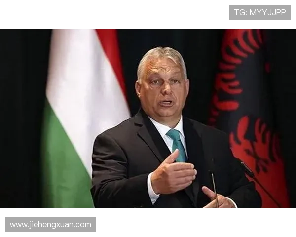 专访张静：探寻她在篮球领域取得成功的秘诀与心路历程